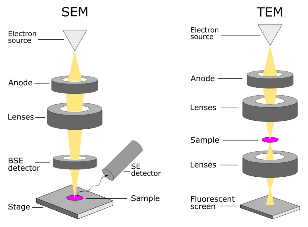 scanning electron microscope block diagram